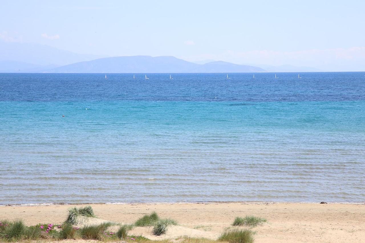 Nami Sea View Near Airport Apartment อาร์เตมีดา ภายนอก รูปภาพ