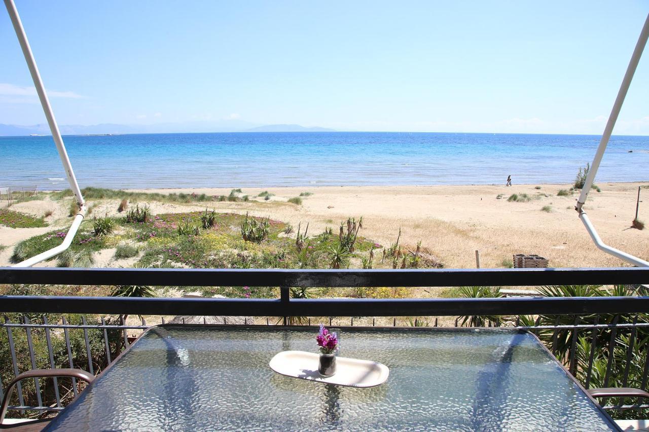 Nami Sea View Near Airport Apartment อาร์เตมีดา ภายนอก รูปภาพ