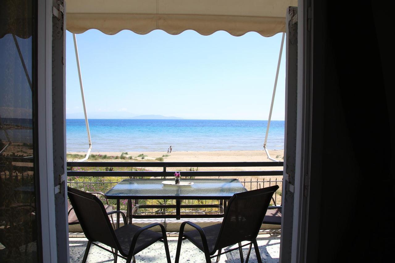 Nami Sea View Near Airport Apartment อาร์เตมีดา ภายนอก รูปภาพ